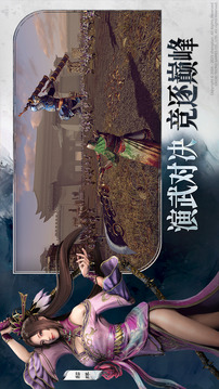 真・三国无双 天下游戏截图1