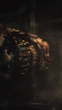 生化危机9：安魂曲游戏截图1