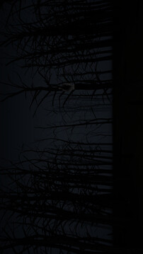 异常1999:沉默游戏截图5