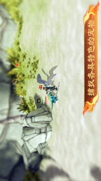 奇域传说游戏截图3