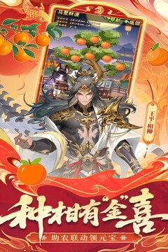 少年三国志游戏截图5