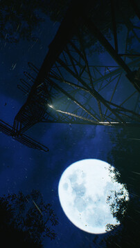 沉没的森林游戏截图4