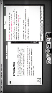 失落的维基：科夫罗夫卡游戏截图2