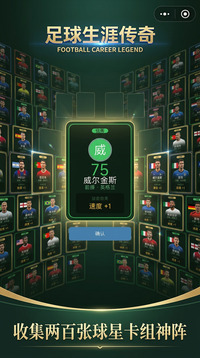 足球生涯传奇游戏截图2
