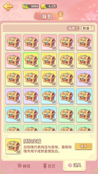 解忧花店游戏截图3