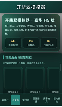 开翡翠模拟器游戏截图2