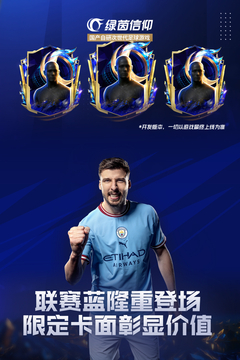 绿茵信仰游戏截图3