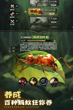 小小蚁国游戏截图1