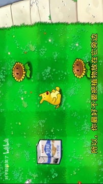 植物大战僵尸猎奇版游戏截图2