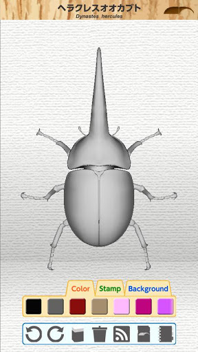 3D insects coloring book截图3