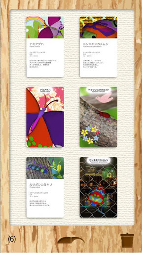 3D insects coloring book截图5