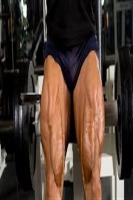 Total Leg Workout 1.03截图1