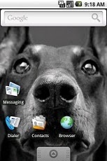 Lovable Doberman Wallpapers截图1