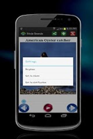鸟类的声音截图4