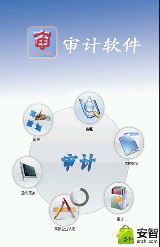 审计软件截图4