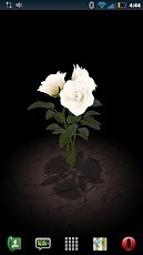 3D Rose Bouquet Live Wallpaper Free截图3