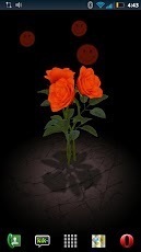 3D Rose Bouquet Live Wallpaper Free截图6