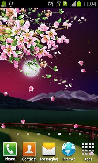 Evening sakura live wallpaper截图1