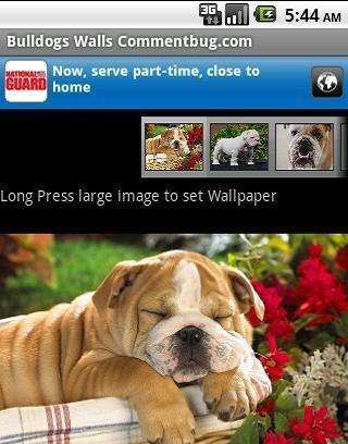 Bulldogs Walls Commentbug.com截图2