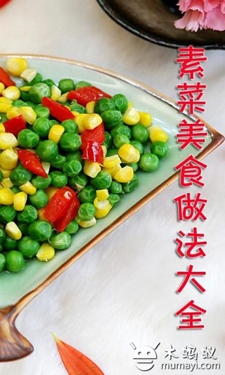 素菜美食做法大全截图2