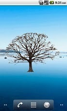 Oak Tree Winter Sticker截图3