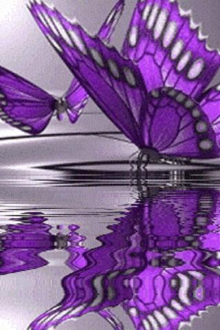 Very Beatiful Butterfly Live W截图1