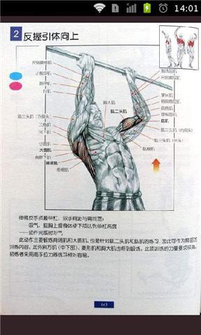 型男专属健身教练截图4