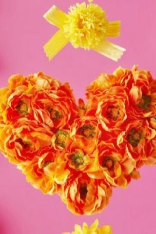 Valentine Flower Wallpaper截图3