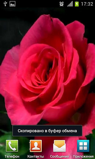 wallpaper live rose bud截图3