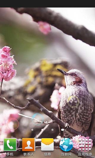 鸟语花香动态壁纸截图1