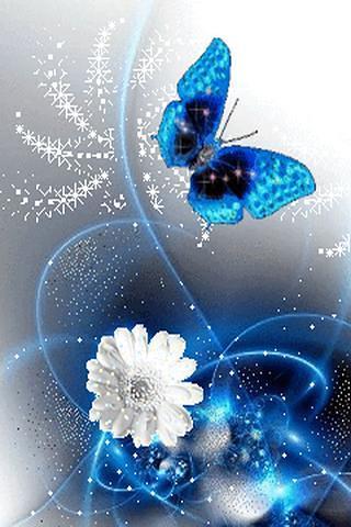 Blue Butterfly Live截图1