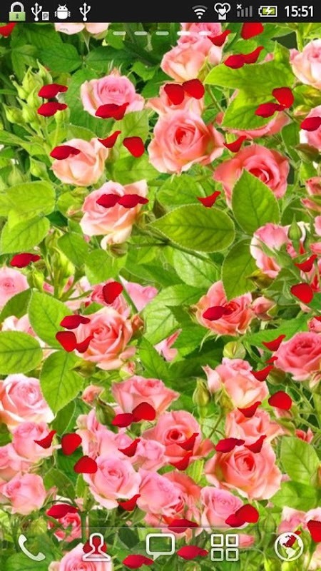 Rose LIVE WALL PAPER截图1