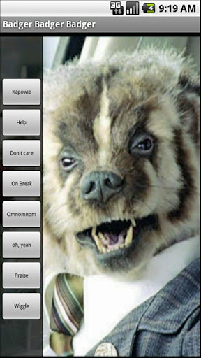 Badger Soundboard截图2