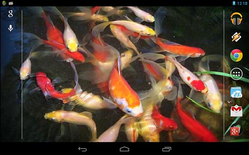 Baby-Koi:Water Effect截图1