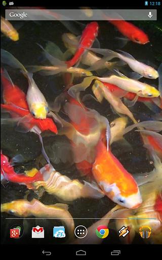 Baby-Koi:Water Effect截图4