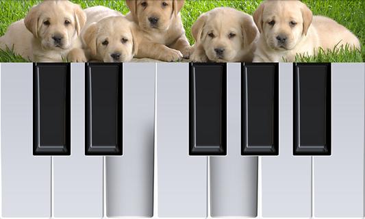 狗狗钢琴截图1