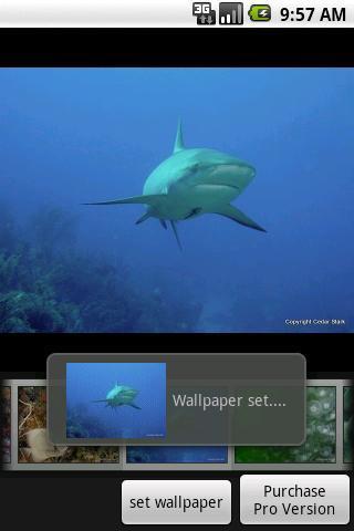 Under the Sea Free截图3