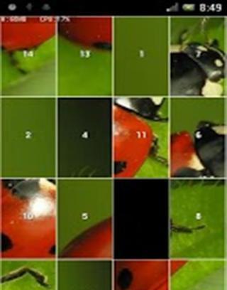 Slide Puzzle LadyBug截图2