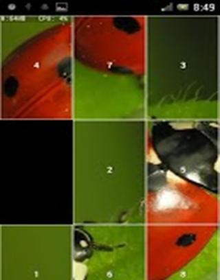 Slide Puzzle LadyBug截图4