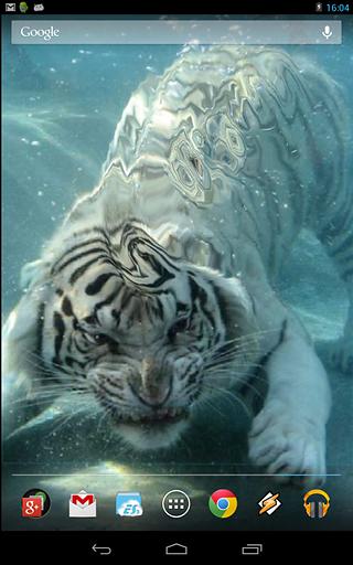 Underwater Tiger截图2