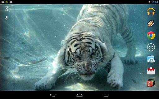 Underwater Tiger截图3