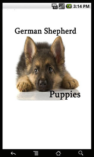 German Shepherd Puppies截图1