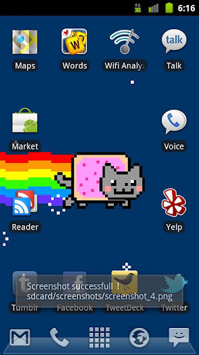 Pop Tart Cat Live截图2