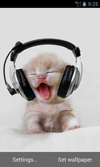 Music Kitten截图1