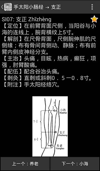 中医经穴推拿截图4