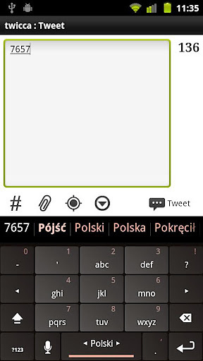 Plugin Polish截图1