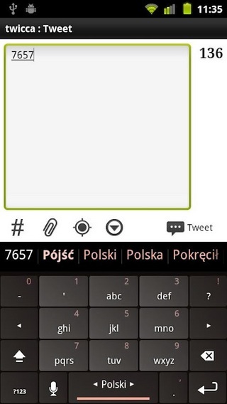 Plugin Polish截图3