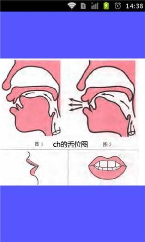 标准普通话发音舌位图截图5