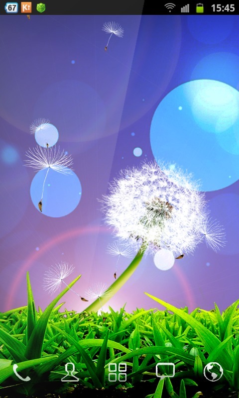 Dandelion Flowers Wallpaper截图3