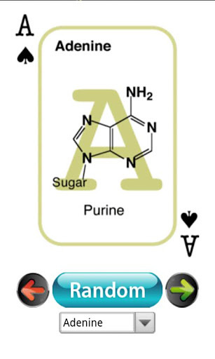 BioChem Euchre Deck截图2